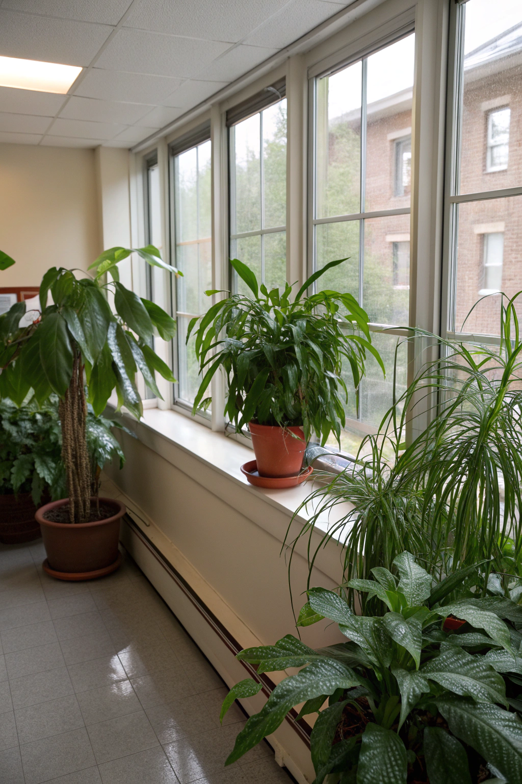 Indoor Plant Lighting Mistakes to Avoid