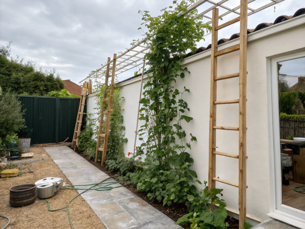 How to Build a Trellis for Climbing Plants